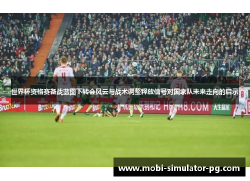 世界杯资格赛备战蓝图下转会风云与战术调整释放信号对国家队未来走向的启示